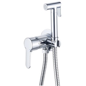 Смеситель скрытого монтажа для биде Esko SMH 01