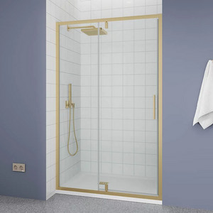 Душевая дверь Veconi Ottimo OP20G-110-01-C9 110x190